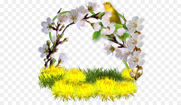 Весенние птицы на белом фоне