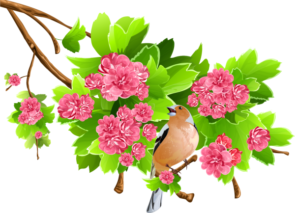 Весенние птицы на прозрачном фоне