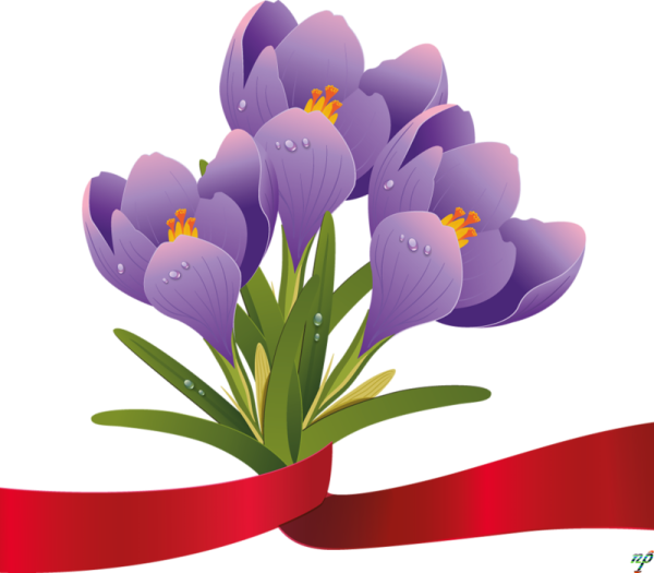 Весенние птицы на прозрачном фоне