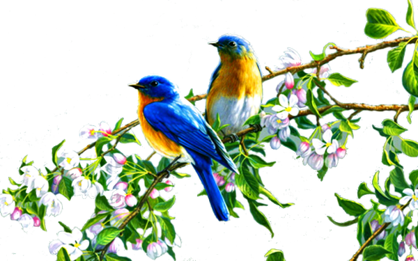 Девочка с зонтиком для ДОУ