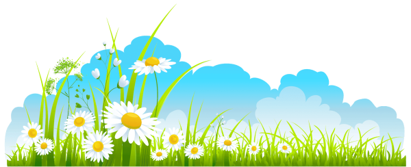 Луг на прозрачном фоне