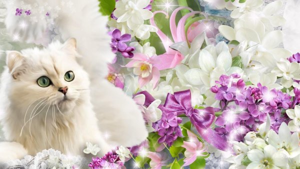 Кот на ветке