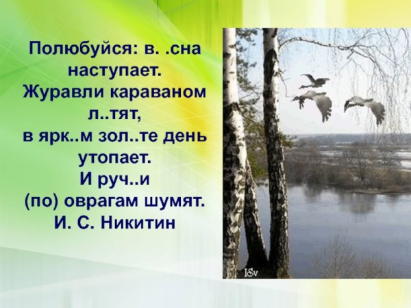 Полюбуйся Весна наступает Журавли караваном летят в ярком золоте