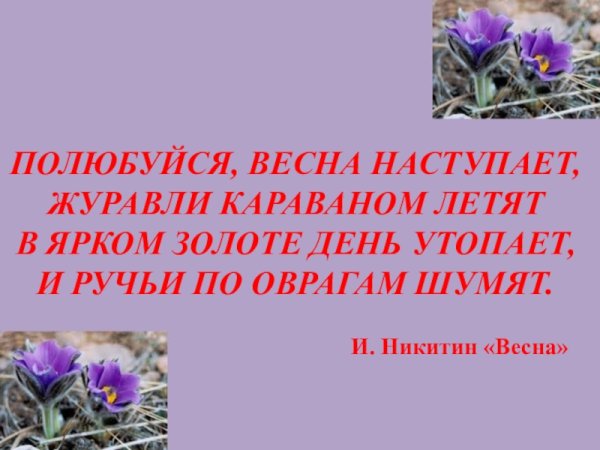 Полюбуйся Весна наступает Журавли караваном