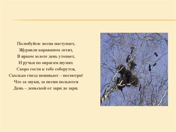 «Полюбуйся: Весна идёт».рисование в подготовительной гр