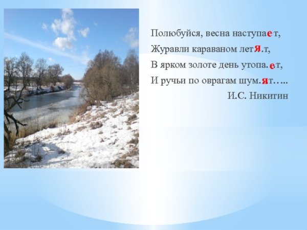 Птицы улетают