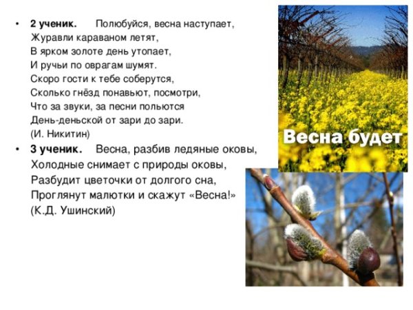 Рисунок Весна наступает Журавли караваном летят