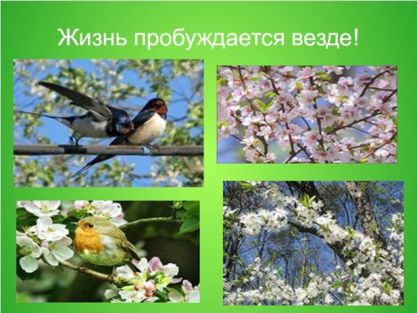 Полюбуйся Весна наступает рисунок