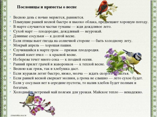 Пословицы и поговорки о весне