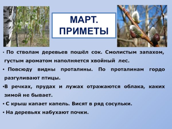 Весенние месяцы для детей дошкольного возраста