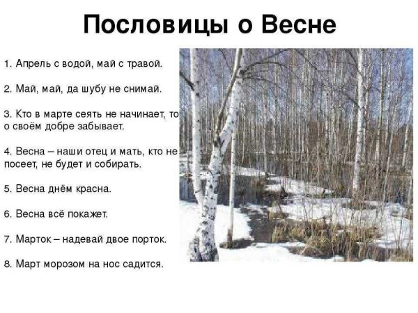 Народные приметы о весyе