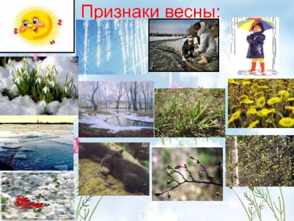 Характерные признаки весны