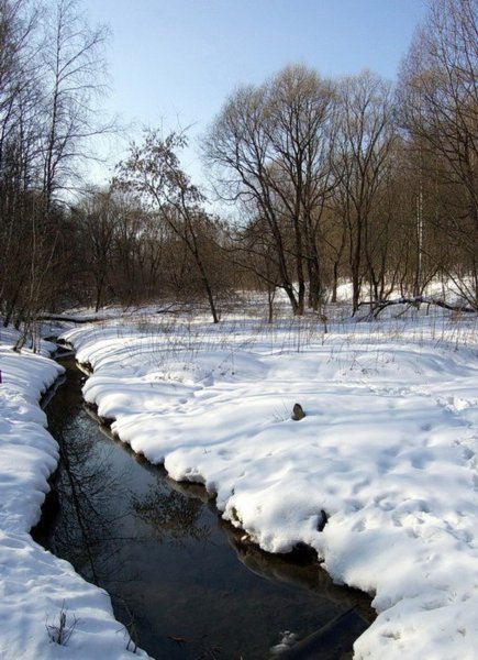 Весна проталины