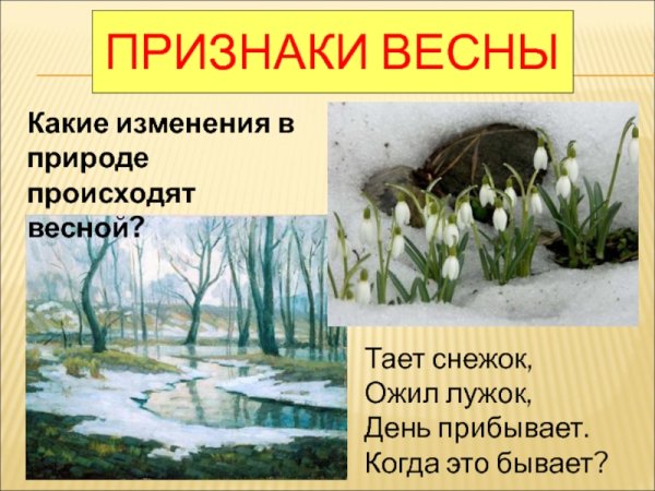 Весенние признаки в природе
