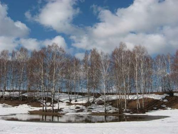 Ранняя Весна за городом