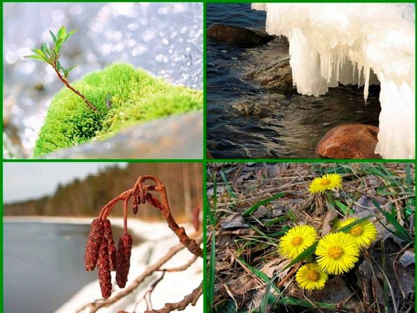 Природные явления ранней весной