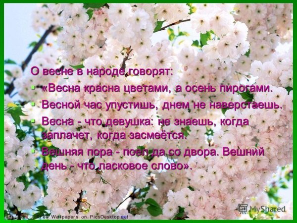 Весна для детей