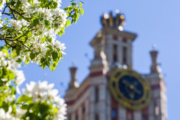 Солнечная Весна в Москве