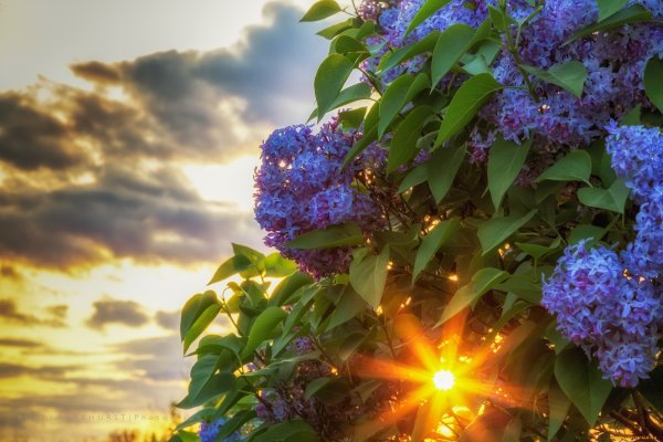 Утро ранней весны