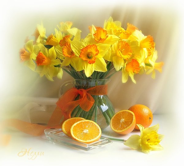 Доброго утра и замечательного дня