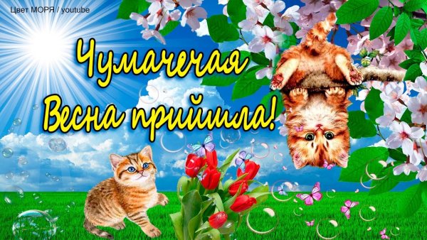 Чумачечая Весна открытки