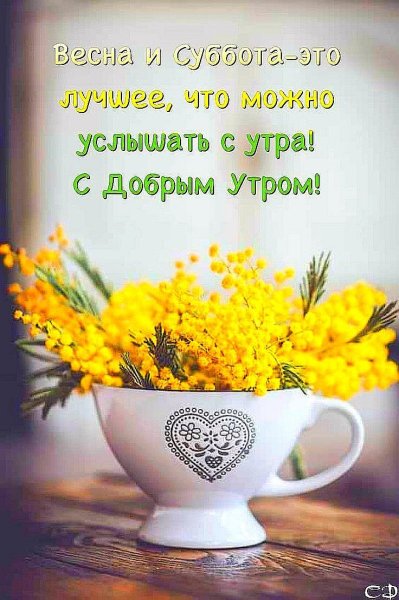 Good morning Весна