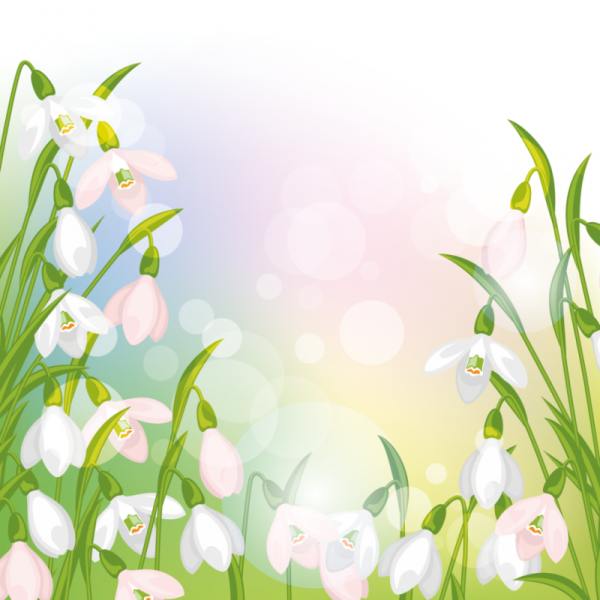 Фон для портфолио