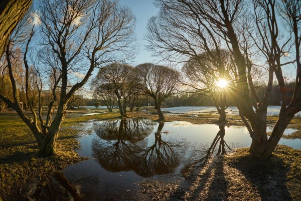 Ранняя Весна солнце