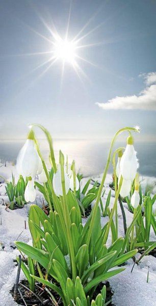 Уютное Весеннее утро