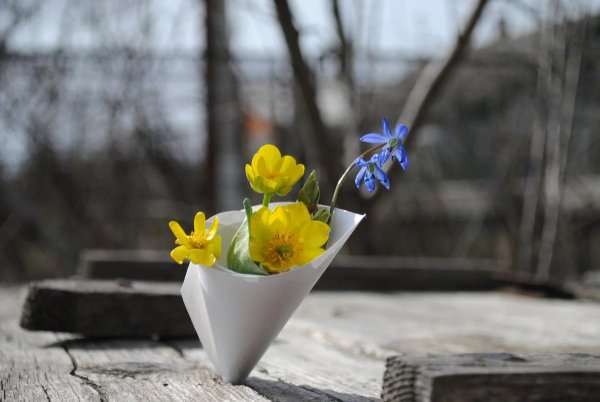 Апрельский пейзаж