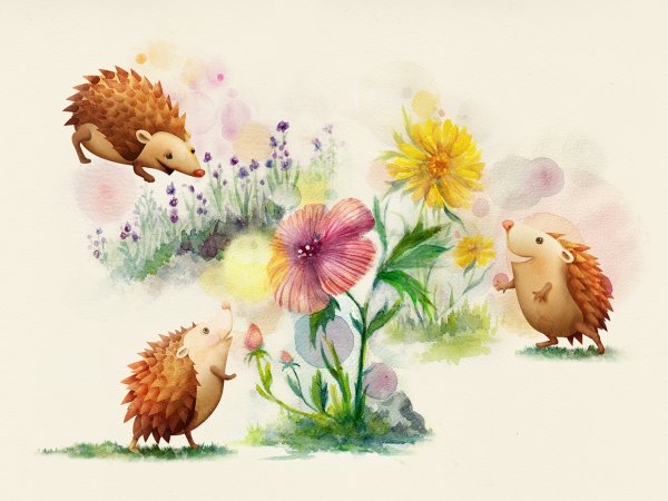 Звери и птицы в лесу