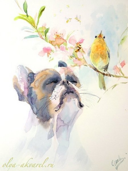 Открытки животные