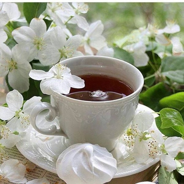 Доброе утро Жасмин