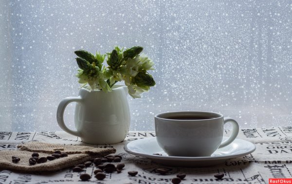 Чашка кофе и цветы