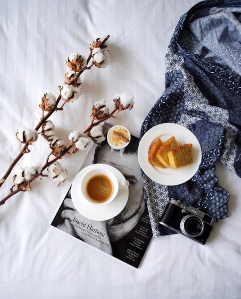 Весенние тюльпаны и чай