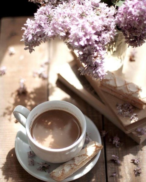 Утро кофе солнце Весна