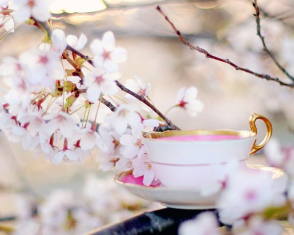 Весеннее утро и кофе