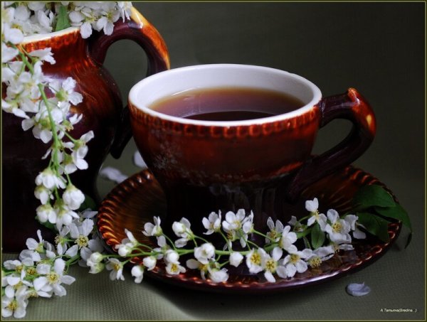 Чай с сиренью