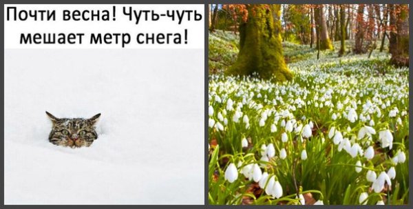 Весна пришла с первым днем весны