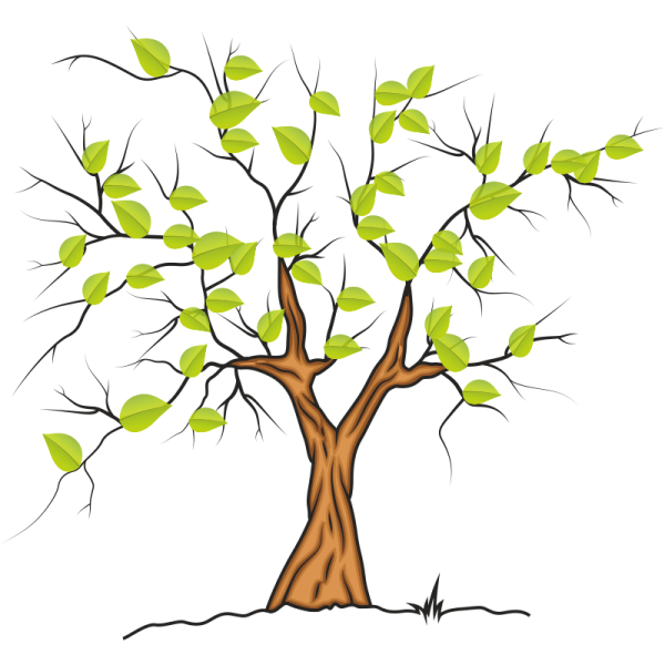 Весеннее дерево рисунок