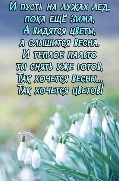 Весна доброта