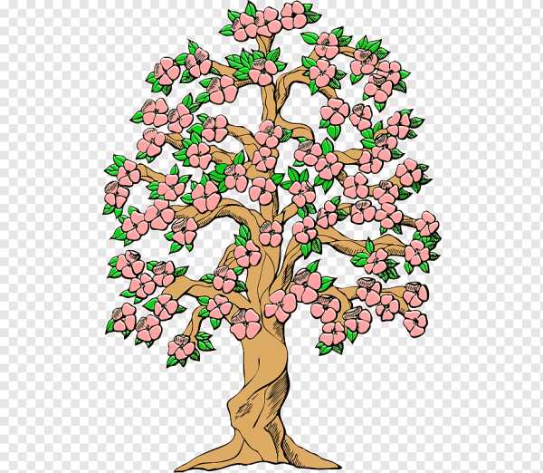 Дерево по сезонам