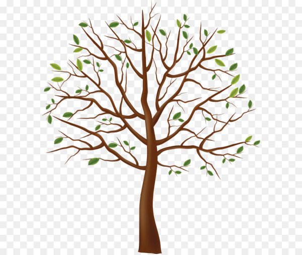 Весеннее дерево карандашом