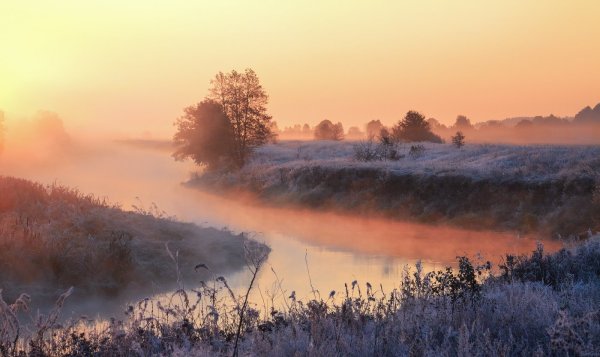 Весенний рассвет