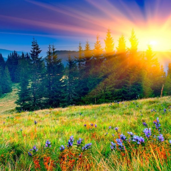 Весенний закат в деревне