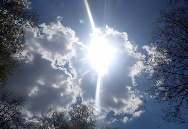 Март солнце