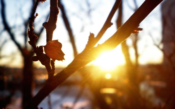 Солнечный день