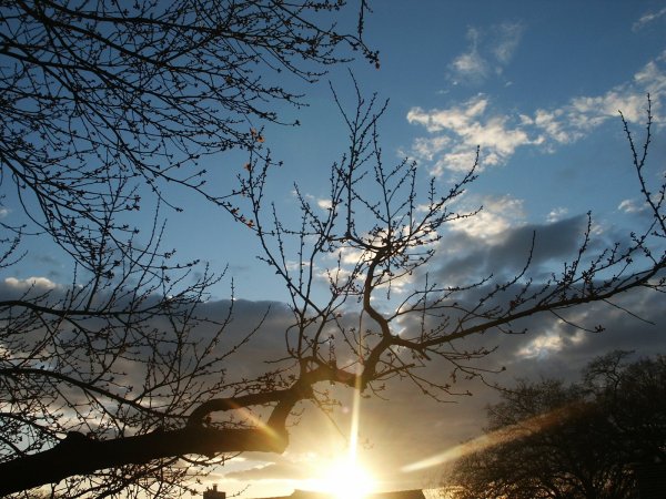 Солнышко природа