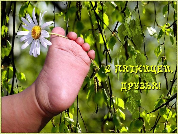 Доброе вечное утро пятница