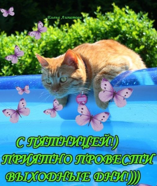 Открытки с весенней пятницей